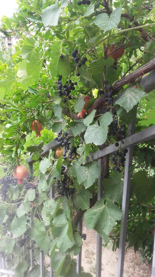Домик У Реки Куры Tbilisi Eksteriør billede